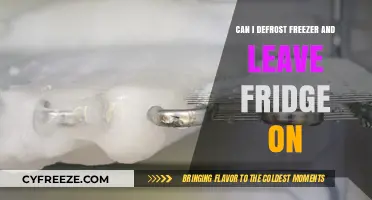 Smart Defrosting: Can You Safely Thaw Your Freezer While Keeping the Fridge On?