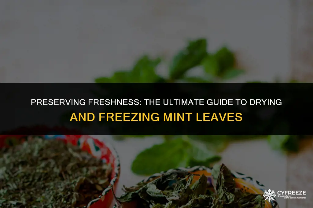 can i dry and freeze mint leaves