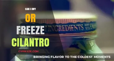 Preserve Your Cilantro: Drying vs. Freezing - Which Method Reigns Supreme?