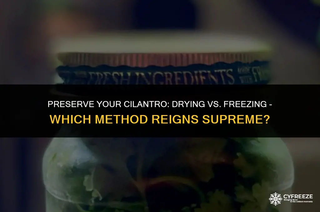 can i dry or freeze cilantro