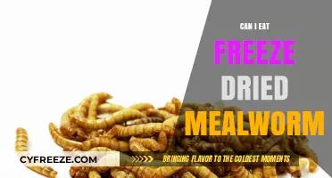 Crunchy and Nutritious: The Surprising Benefits of Freeze-Dried Mealworms