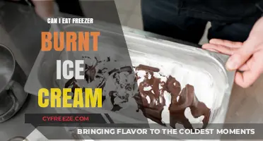 Reviving Frozen Delights: Can You Eat Freezer-Burnt Ice Cream?