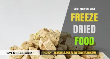 Exploring Freeze-Dried Food as a Complete Diet for Cats