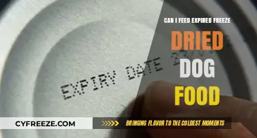 Is It Safe to Feed Your Dog Expired Freeze-Dried Food?