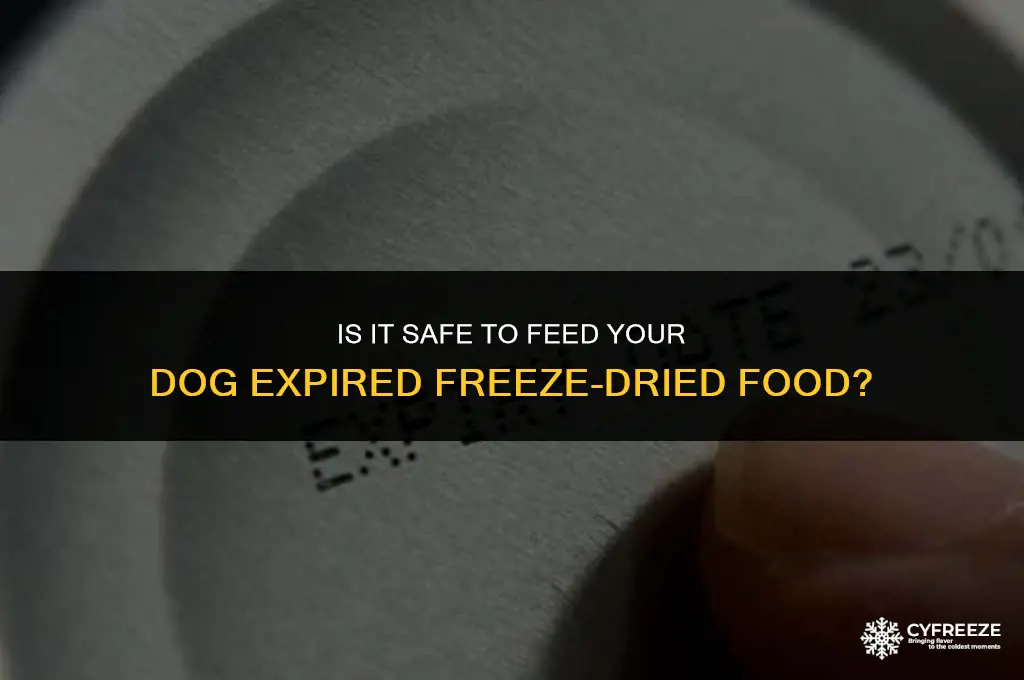 can i feed expired freeze dried dog food