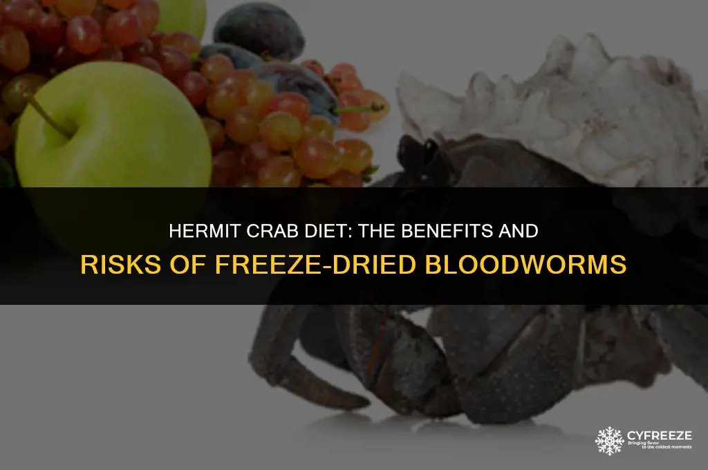can i feed my hermit crab freeze dried bloodworms