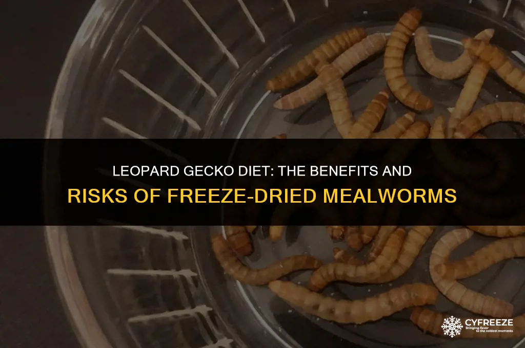 can i feed my leopard gecko freeze dried mealworms