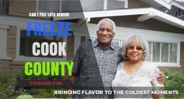 Navigating Cook County's Senior Freeze: Options for Late Filing