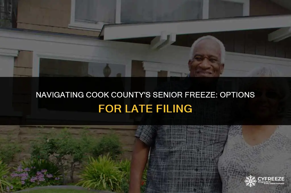 can i file late senior freeze cook county