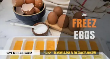 Freezing Eggs 101: A Complete Guide to Preserving Fertility Safely