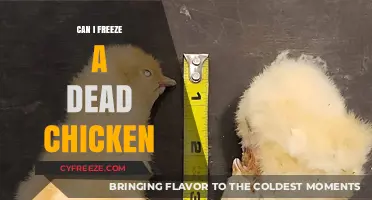 Reviving Leftovers: The Do's and Don'ts of Freezing a Dead Chicken