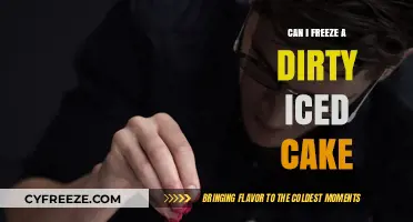Can I Freeze a Dirty Iced Cake: Tips and Tricks