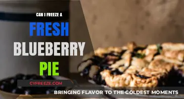 Blueberry Pie Preservation: A Guide to Freezing Freshness