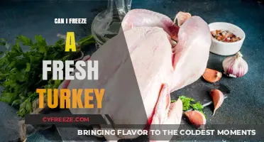 Fresh Turkey Freezing Guide: Preserve Your Feast with Confidence