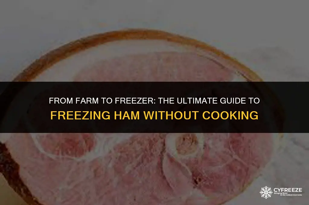 can i freeze a ham without cooking it