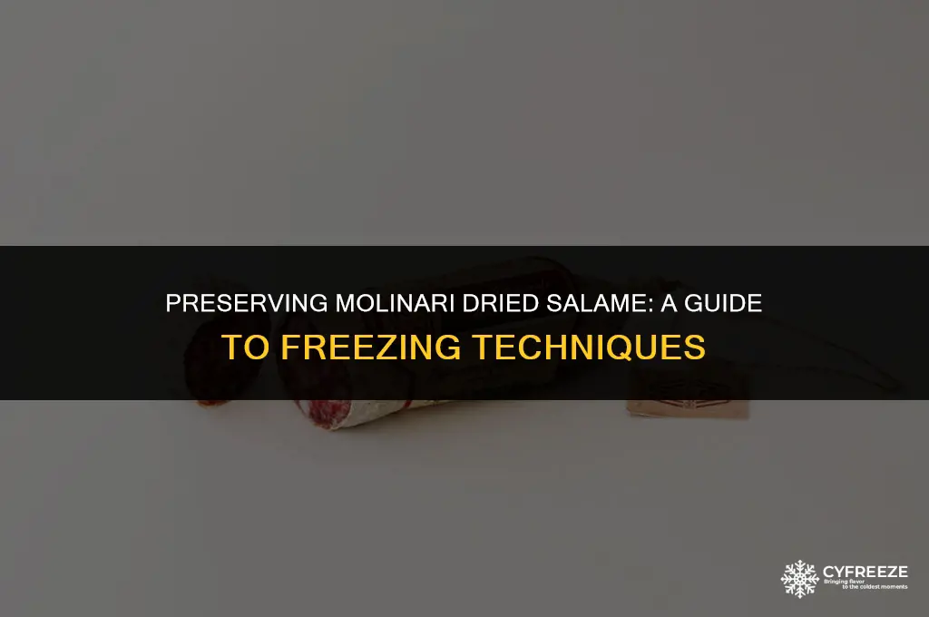 can i freeze a molinari dried salame