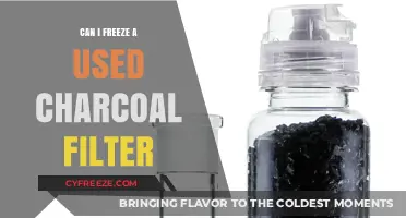 Freezing Used Charcoal Filters: A Practical Guide for Reuse and Storage