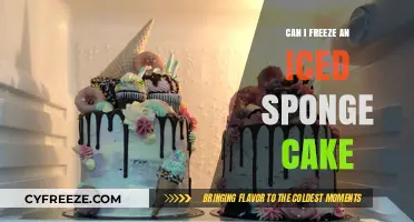 Sweet Solutions: The Ultimate Guide to Freezing Iced Sponge Cake