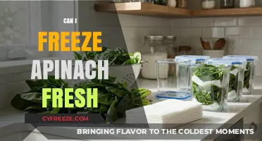 Fresh or Frozen: The Ultimate Guide to Storing Spinach