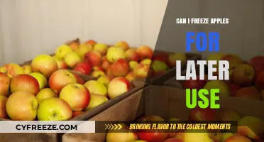 Freezing Apples: A Simple Guide to Preserve Freshness for Later Use