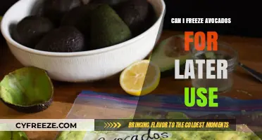Freezing Avocados: A Handy Guide for Preserving Your Favorite Fruit