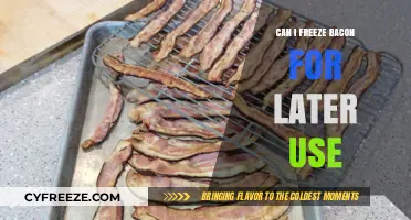 Freezing Bacon: A Guide to Preserving Freshness for Later Use