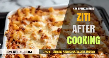 Freezing Baked Ziti: A Complete Guide to Post-Cooking Storage