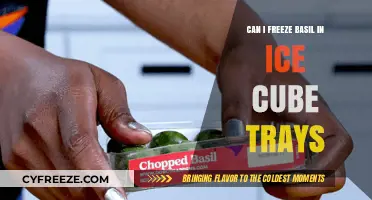 Fresh Basil, Frozen in Time: A Simple Guide to Ice Cube Tray Magic