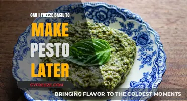 Fresh Basil, Future Pesto: A Guide to Freezing Herbs