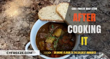 Freezing Beef Stew: A Complete Guide to Post-Cooking Preservation