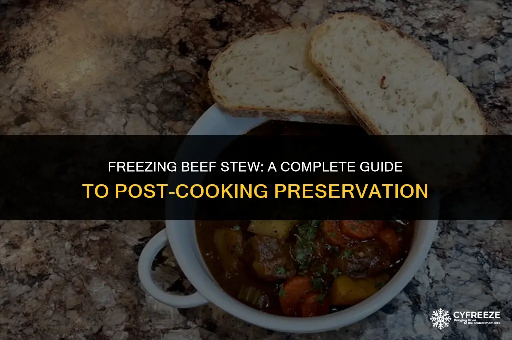 can i freeze beef stew after cooking it