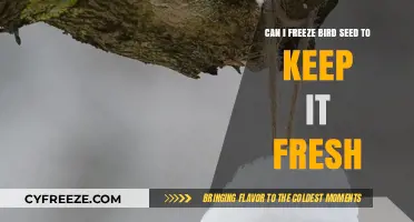Preserving Bird Seed Freshness: The Ultimate Freezing Guide