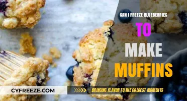 From Freezer to Oven: Blueberry Muffins Made Easy