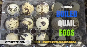 Freezing Boiled Quail Eggs: Tips, Tricks, and Storage Solutions
