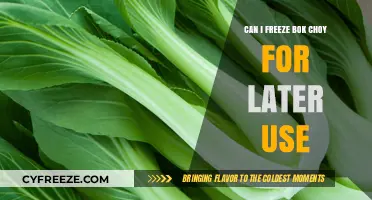 Freezing Bok Choy: A Guide to Preserving Freshness for Later Use