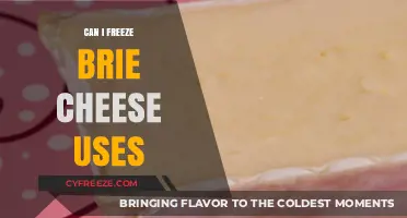 Freezing Brie Cheese: Tips, Uses, and Storage Guide