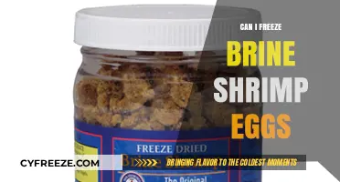 Freezing Brine Shrimp Eggs: A Complete Guide for Aquarium Enthusiasts