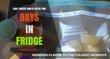 Freezing Broth After Two Days: A Comprehensive Guide