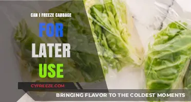 Freezing Cabbage: A Handy Guide for Long-Term Storage and Use