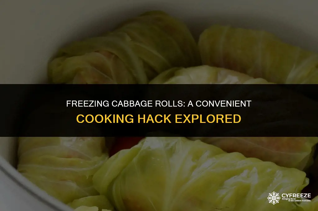 can i freeze cabbage rolls before cooking