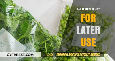 Freezing Celery: A Handy Guide for Long-Term Storage and Use