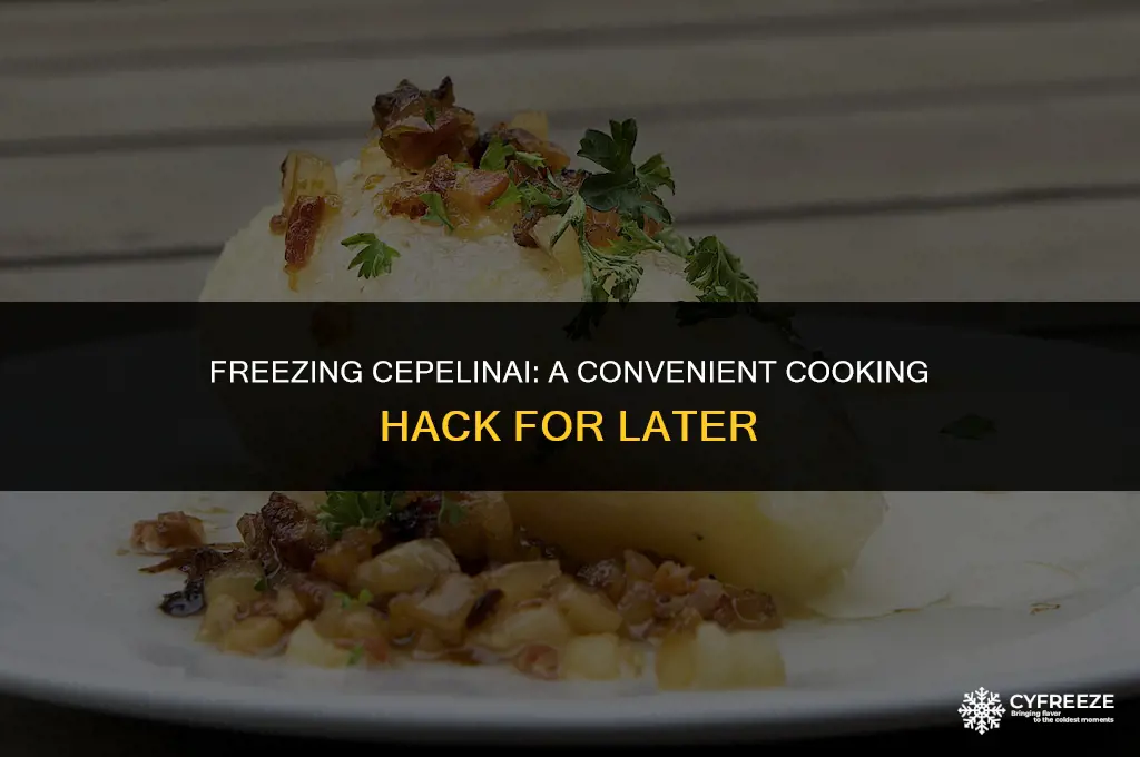 can i freeze cepelinai before cooking later