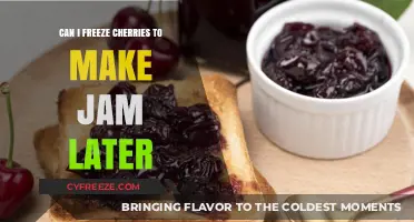 Preserving Summer's Bounty: Freezing Cherries for Future Jam-Making