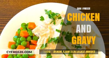 Freezing Chicken and Gravy: A Complete Guide