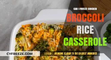 Freezing Chicken Broccoli Rice Casserole: A Complete Guide