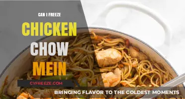 Freezing Chicken Chow Mein: A Complete Guide