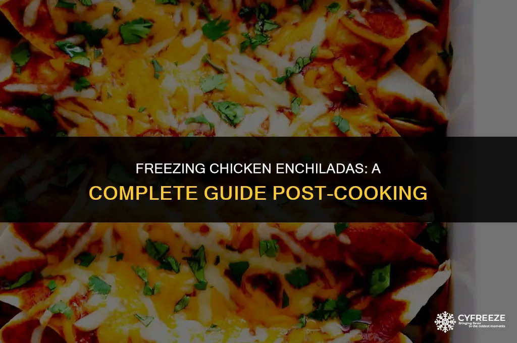 can i freeze chicken enchiladas after cooking