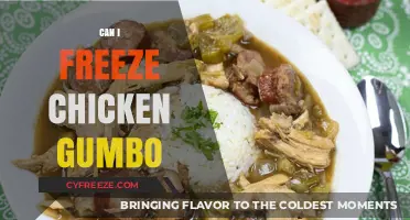 Savor the Flavor: Freezing Chicken Gumbo for Later Delights