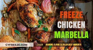 Freezing Chicken Marbella: A Complete Guide to Preserve Its Flavor