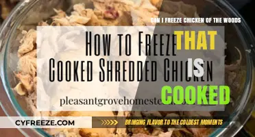 Savoring Sustainability: Freezing Cooked Chicken of the Woods for Future Feasts
